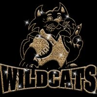 GLT32 GOLD GLITTER Thumbnail